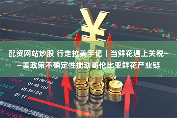 配资网站炒股 行走拉美手记｜当鲜花遇上关税——美政策不确定性搅动哥伦比亚鲜花产业链