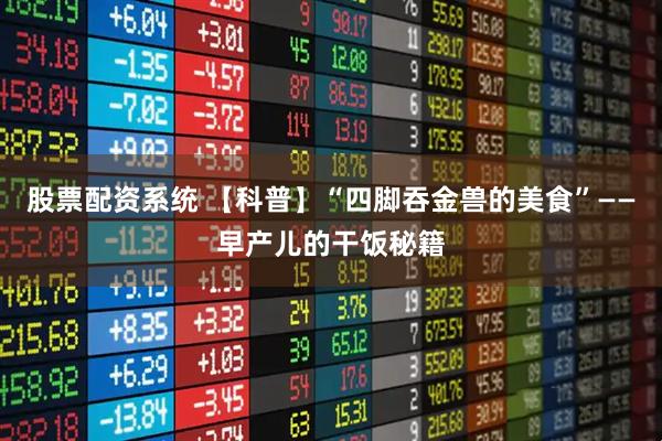 股票配资系统 【科普】“四脚吞金兽的美食”——早产儿的干饭秘籍